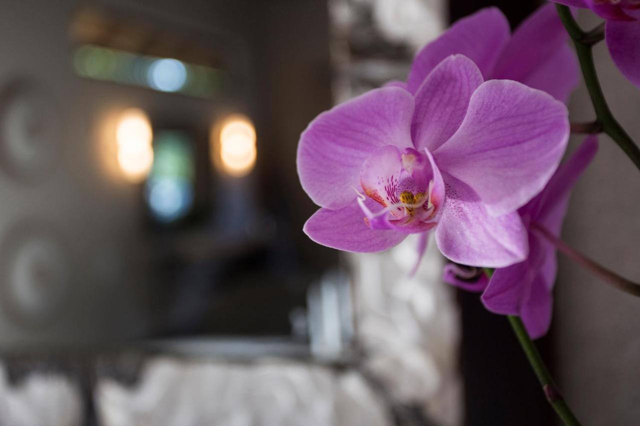 Moya Safari Villa Hoedspruit Kültér fotó